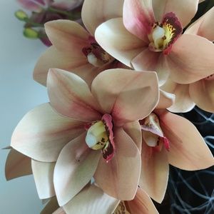 Meet your Posher, Piyali